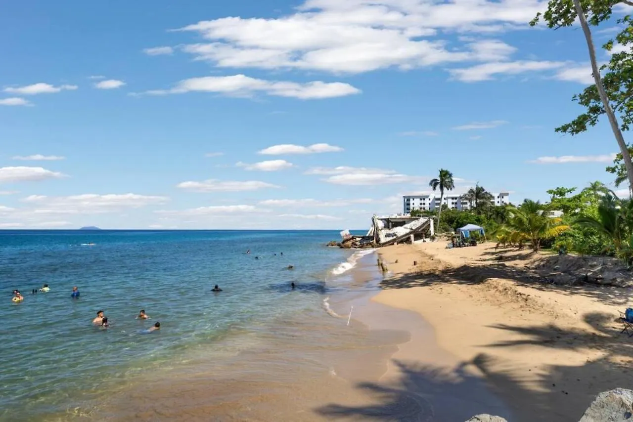 Beacfront Petite Paradise Unit At Pelican Reef 103 リンコン